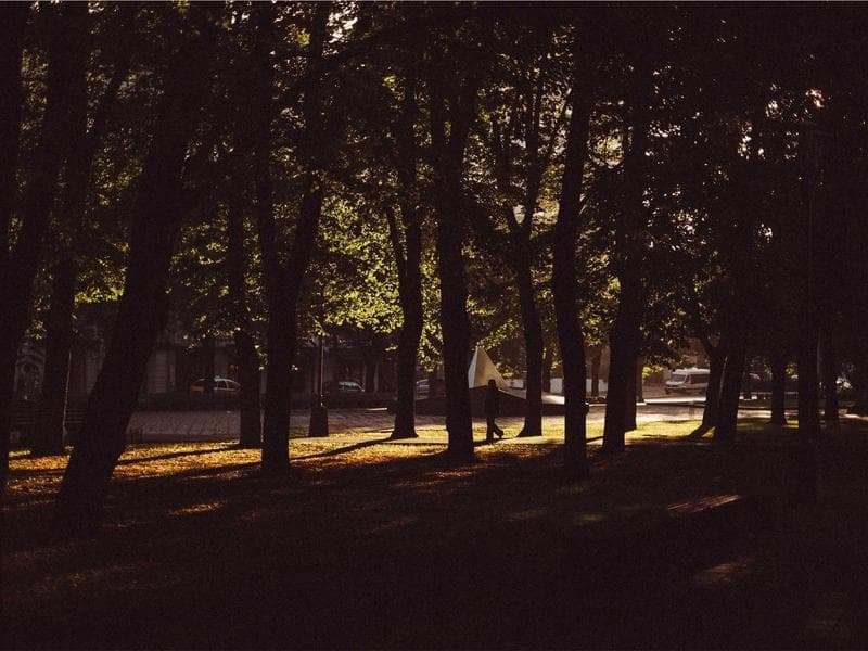 Комплект Пикник